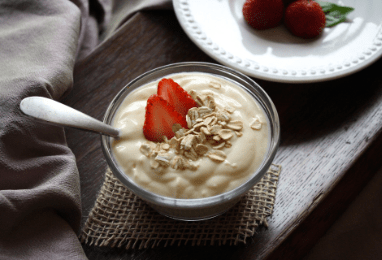 ヨーグルトマイスター