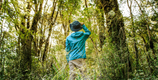 山菜採りインストラクター