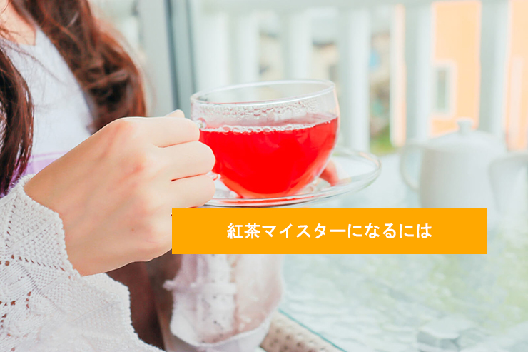 紅茶マイスターになるには