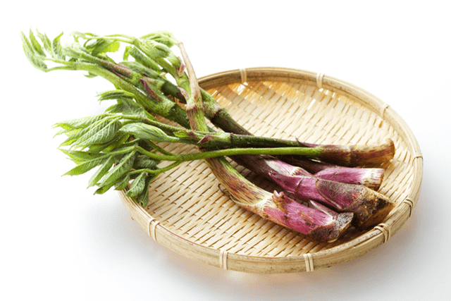 山菜ソムリエ資格認定試験